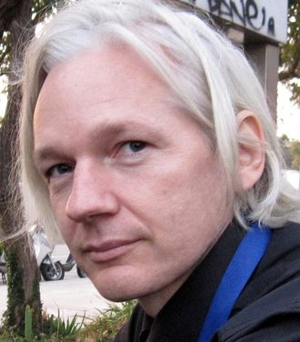 Sweden: Mother applauds Assange asylum bid