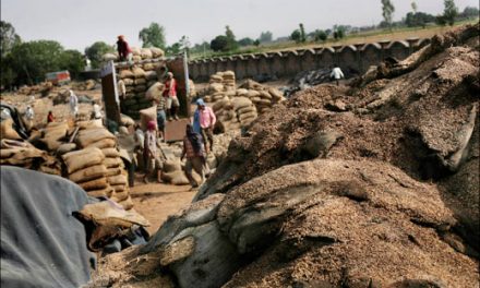 India: As grain stockpiles go up the poor go hungry because of a corrupt system