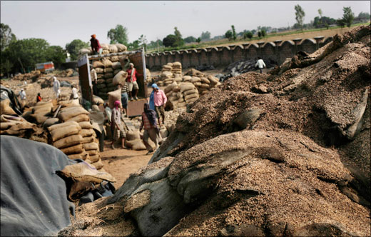 India: As grain stockpiles go up the poor go hungry because of a corrupt system