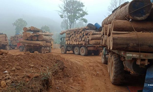 Myanmar: Environmental Investigation Agency alleges corruption in timber trade.