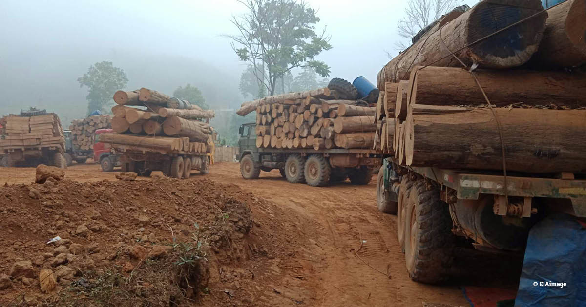 Myanmar: Environmental Investigation Agency alleges corruption in timber trade.